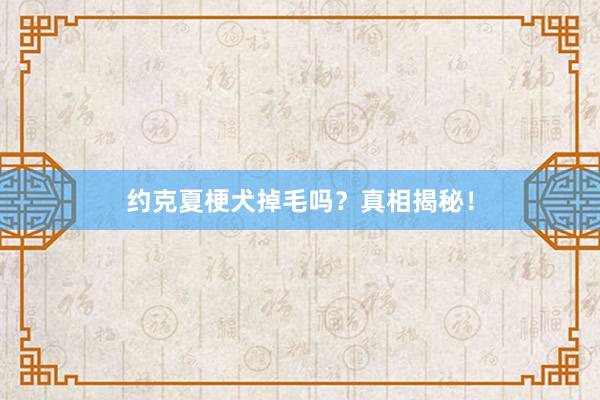 约克夏梗犬掉毛吗？真相揭秘！